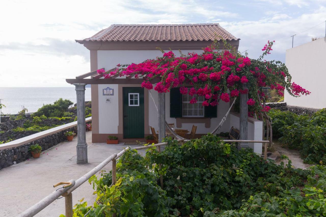 Casa Das Vinhas Feteira  Dış mekan fotoğraf